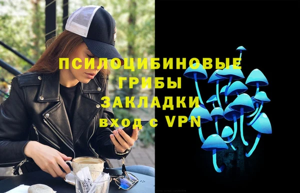 a pvp Богородицк
