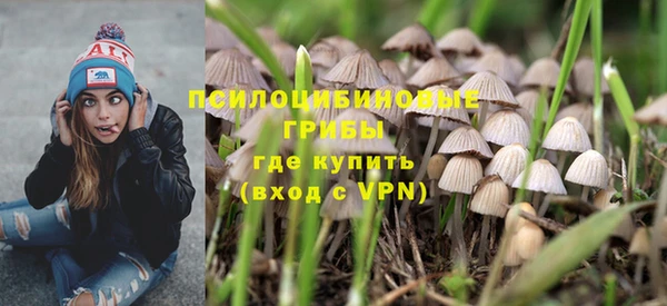 a pvp Богородицк