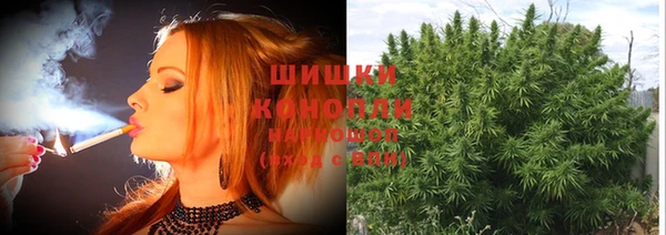 a pvp Богородицк