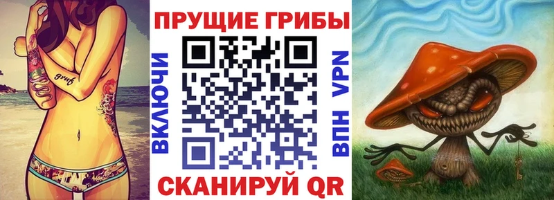 Галлюциногенные грибы Psilocybe  как найти закладки  Беслан 